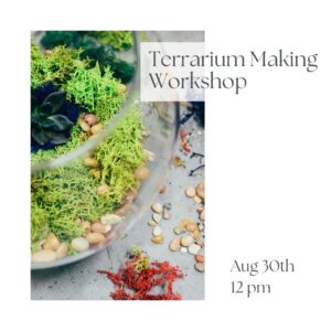 succulent terrarium workshop houston pop shop america