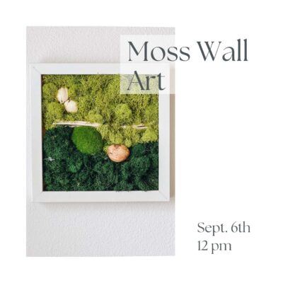 Moss Wall Art Craft Class