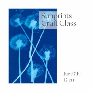 Sunprint Photography Craft Class