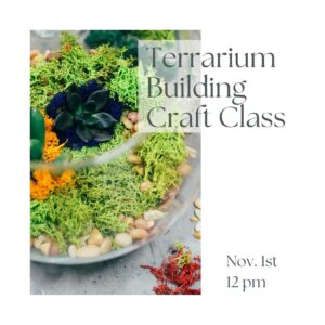 Terrarium Building Craft Class