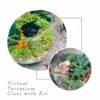 Virtual Terrarium Workshop with Pop Shop America
